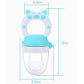 Baby Fruit Feeder Teether & Pacifier