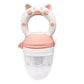 Baby Fruit Feeder Teether & Pacifier