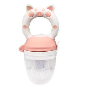 Baby Fruit Feeder Teether & Pacifier