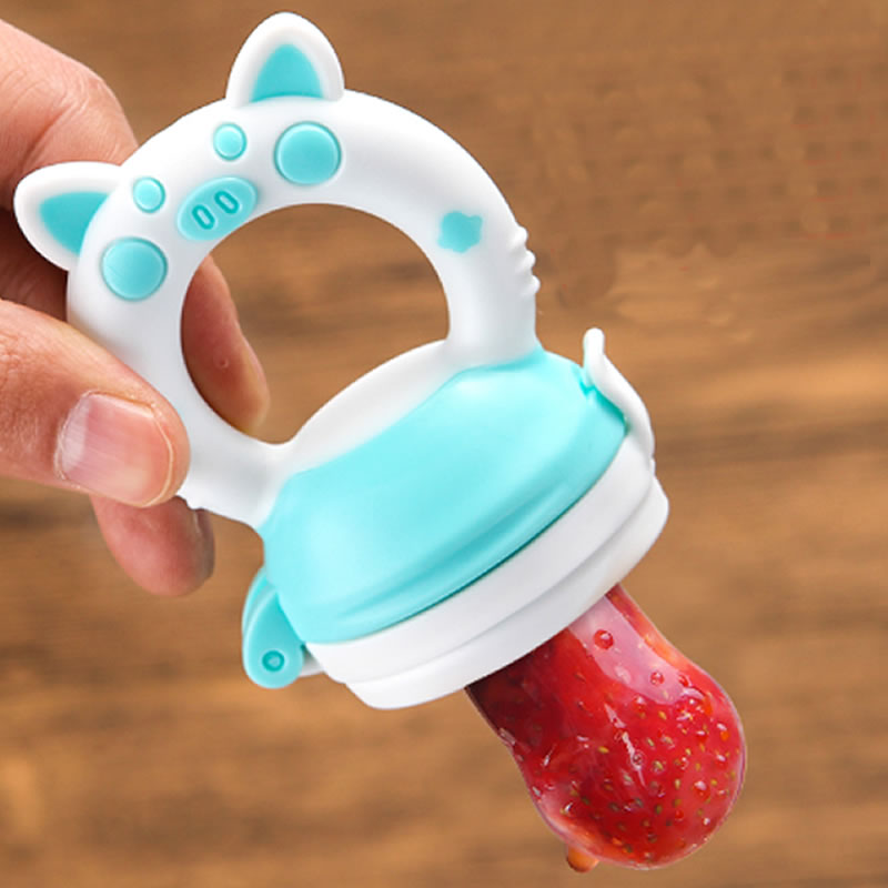 Baby Fruit Feeder Teether & Pacifier